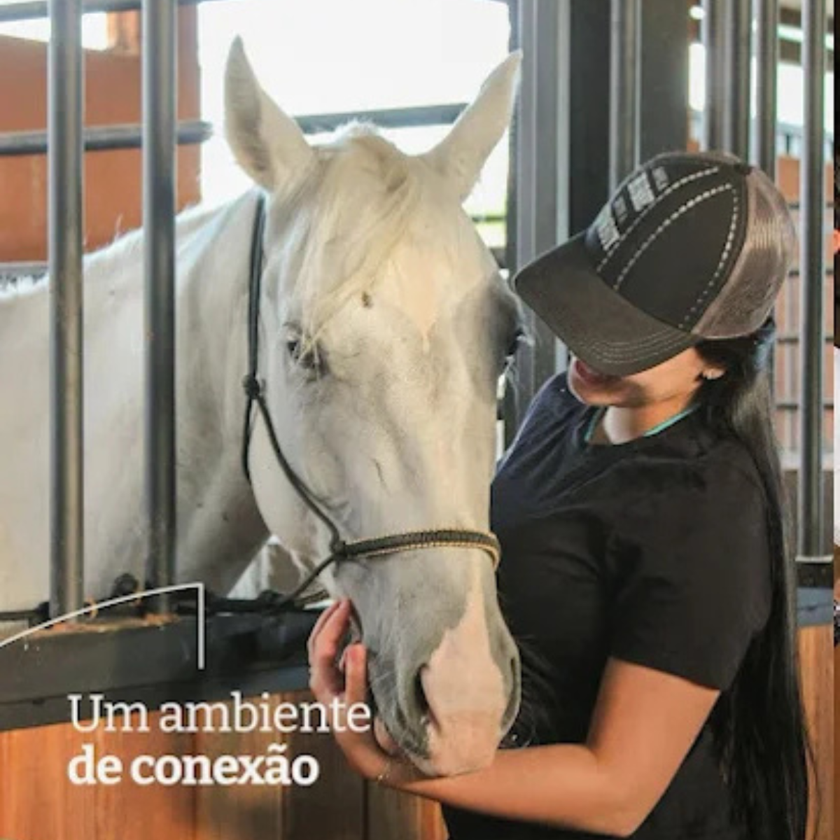 Centro Hípico Boa Vista — foto 3 da galeria