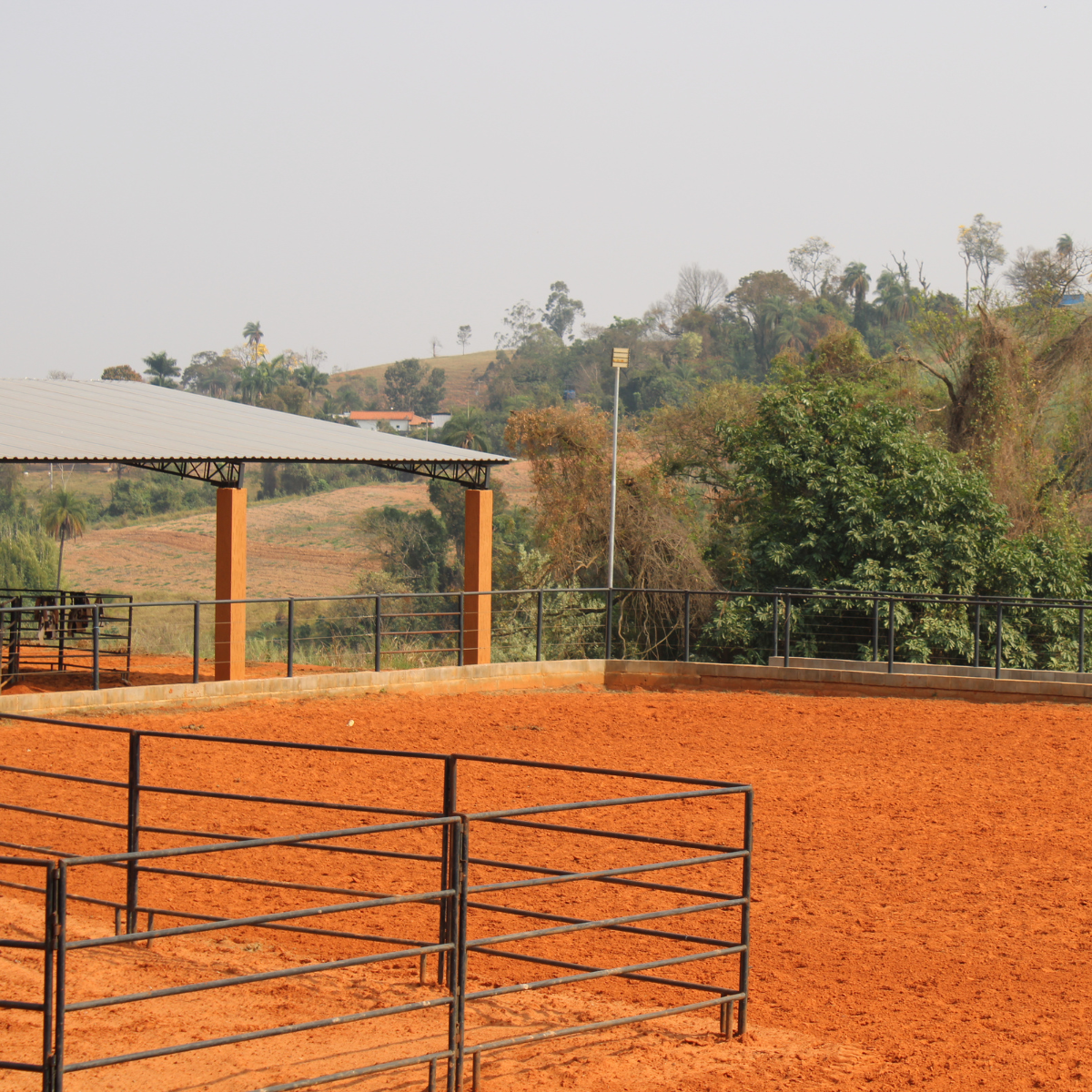 Centro Hípico Boa Vista — foto 7 da galeria