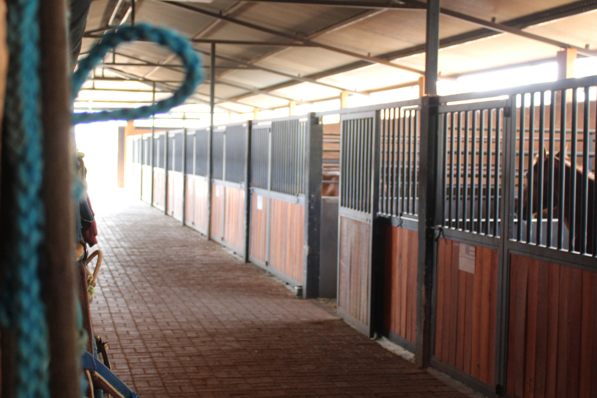 Baias para hospedagem de cavalos no Centro Hípico Boa Vista