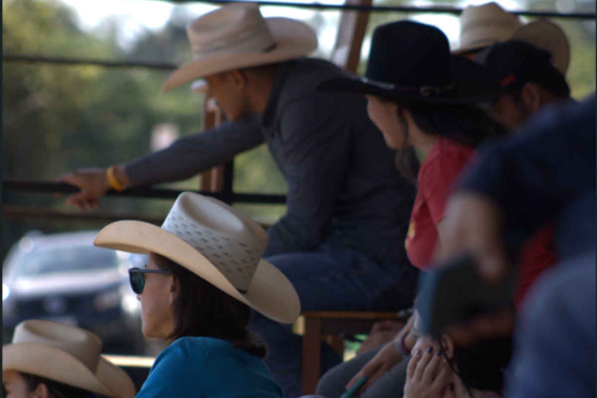 Público em dia de evento equestre no Centro Hípico Boa Vista